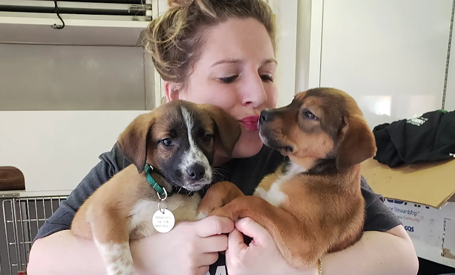 Nhiều phụ nữ Mỹ nuôi chó thay cho hẹn hò