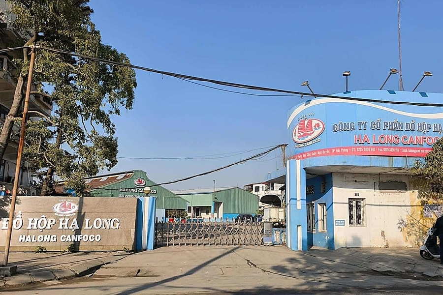 Tổng giám đốc Công ty Đồ hộp Hạ Long bị khởi tố