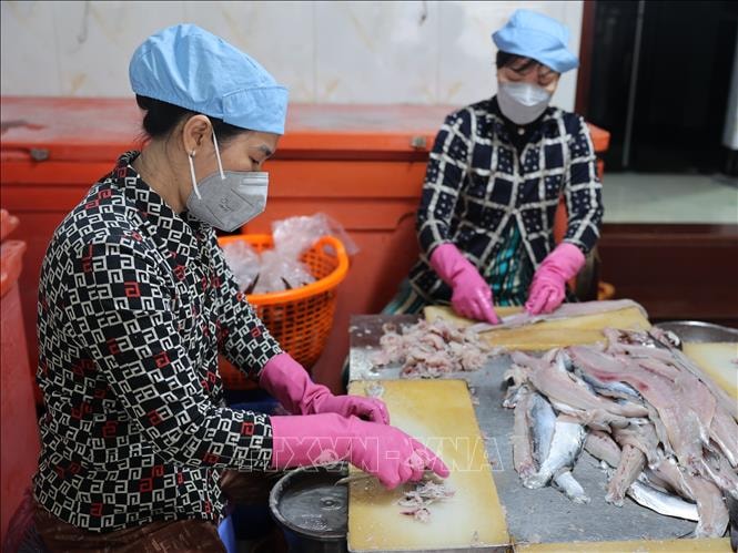 Nâng tầm nghề làm chả cá truyền thống Phước Hải