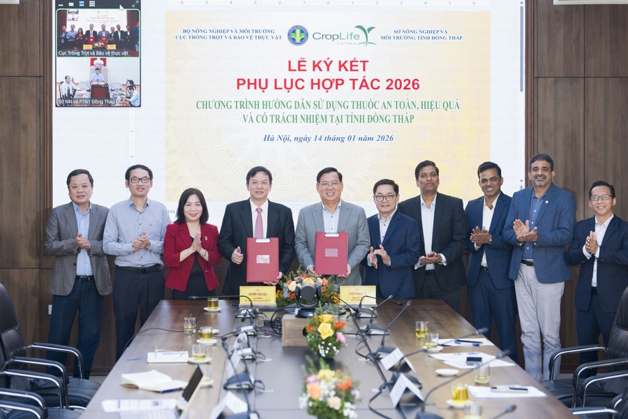 Hợp tác thúc đẩy quản lý thuốc bảo vệ thực vật bền vững