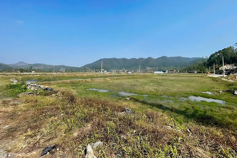 Môi giới tháo chạy khỏi khu vực sốt đất đấu giá