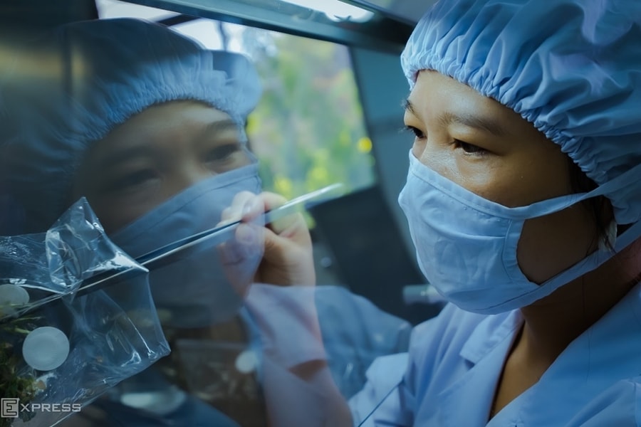 Lao động 'cổ xanh' được săn đón, 'cổ trắng' đối mặt khó khăn