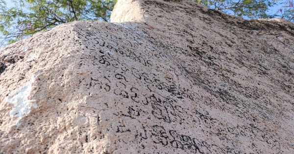 Tấm bia đá khắc chữ Chăm cổ phơi nắng gió giữa cánh đồng cần được bảo tồn