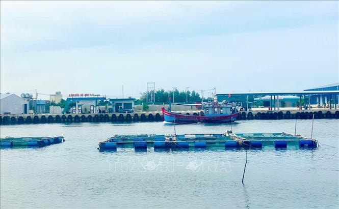 Ngăn chặn lồng bè nuôi thủy sản ‘nở rộ’ trong cảng nước sâu Dung Quất