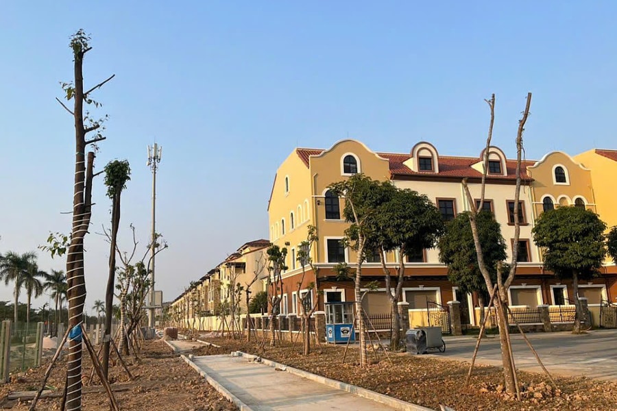 SJ Group thi công đồng thời nhà ở và hạ tầng tại Vista Nam An Khánh