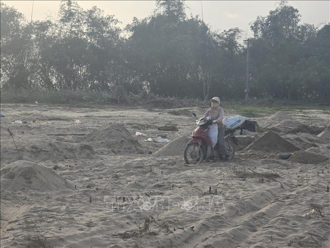 Ruộng đồng Gò Nổi (Đà Nẵng) chưa thoát cảnh cát bồi lấp