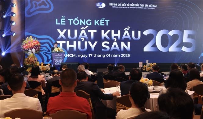 Xuất khẩu thuỷ sản tính đường dài sau kỷ lục 11,3 tỷ USD