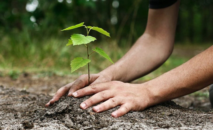 Sếp Unilever: Chúng tôi xem trồng 1 triệu cây xanh là khoản đầu tư chiến lược