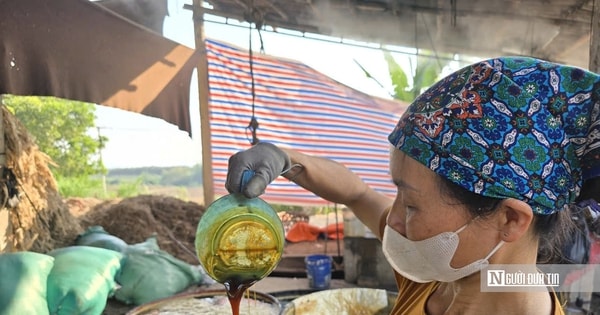 Đỏ lửa ngày đêm, làng mật mía xứ Thanh chật vật vào vụ Tết