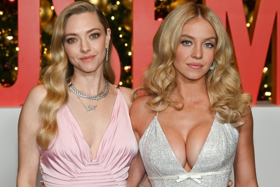 Thông điệp bí mật sau cảnh 3 phút giường chiếu của phim ‘Cô hầu gái’