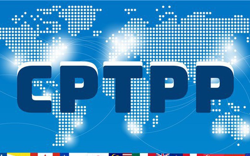 Chỉ định các cơ quan đầu mối triển khai 3 Hiệp định thương mại