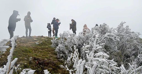 Miền Bắc đón không khí lạnh mạnh, đi chợ thấy 3 "thần dược" làm ấm cơ thể này đừng bỏ phí