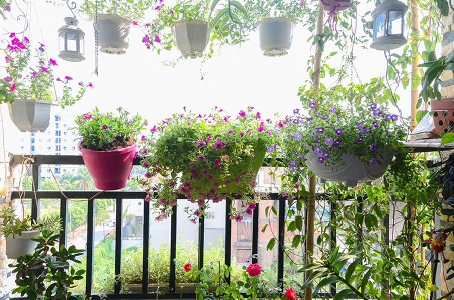 Những ý tưởng thú vị trang trí ban công đón Tết (bai seo)