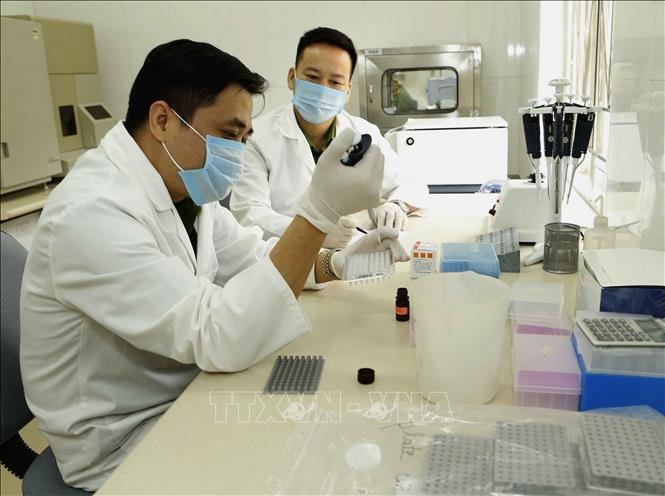 Nâng cao năng lực, hiệu quả hệ thống giám định pháp y và chữa bệnh tâm thần