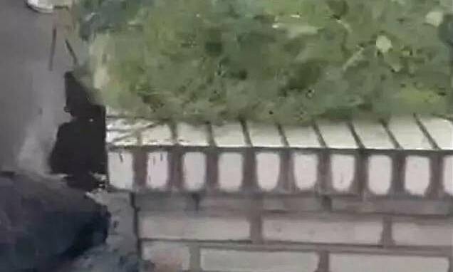 Vụ án giấu xác trong bồn hoa trung tâm mua sắm suốt 28 năm