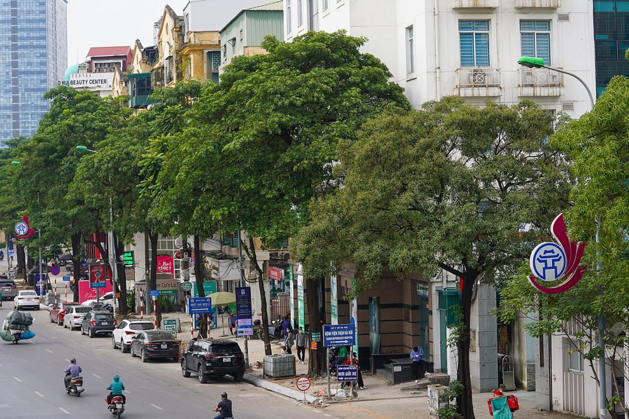 Hà Nội chấm dứt hoạt động dự án nhà cao tầng ở 'đất vàng' Nguyễn Chí Thanh