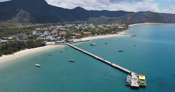 Thao túng giá tín chỉ carbon trên sàn giao dịch có thể bị xử lý hình sự