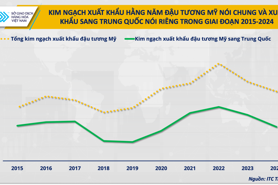 Khi dòng chảy đậu tương đổi hướng, cơ hội nào cho doanh nghiệp chăn nuôi Việt Nam?