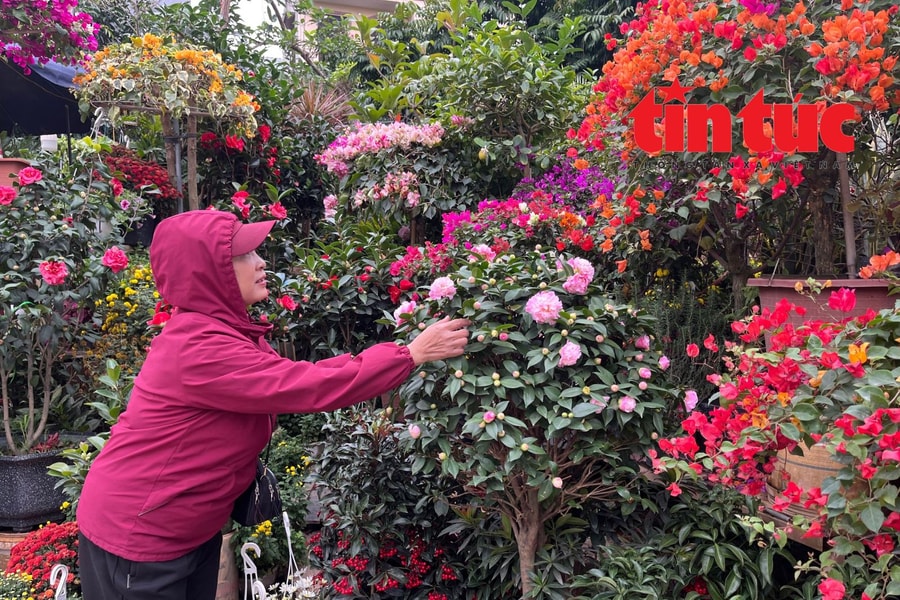 Người lao động Thủ đô vượt giá rét để mưu sinh