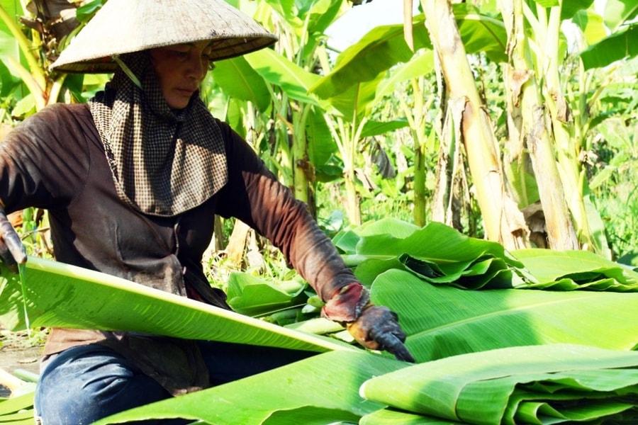 Dự chi hơn 578 tỷ đồng hỗ trợ sinh kế nhiều đối tượng để có thu nhập tốt