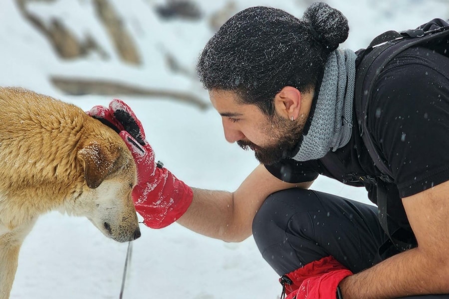 Chó học từ mới nhờ 'nghe lỏm' chủ nói chuyện