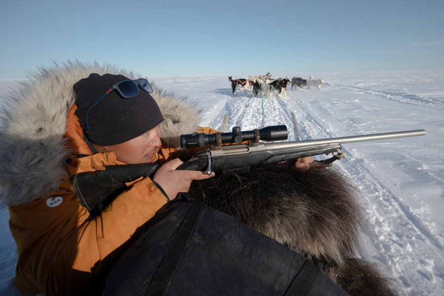Nghề săn gấu Bắc Cực ở Greenland