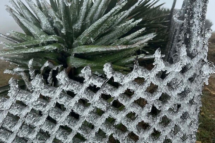 Đỉnh núi Mẫu Sơn xuất hiện băng