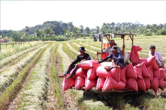 Tập trung thực hiện ba khâu đột phá chiến lược, đưa Vĩnh Long phát triển nhanh và bền vững