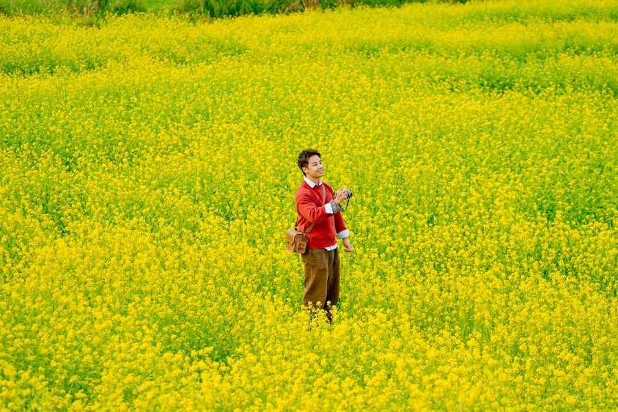 Hoa cải nhuộm vàng các cánh đồng ở Mộc Châu