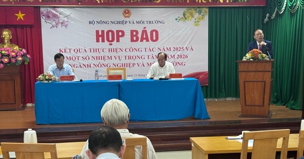 Nhiều nước muốn mua gạo thơm Việt Nam nhưng doanh nghiệp chưa xuất được