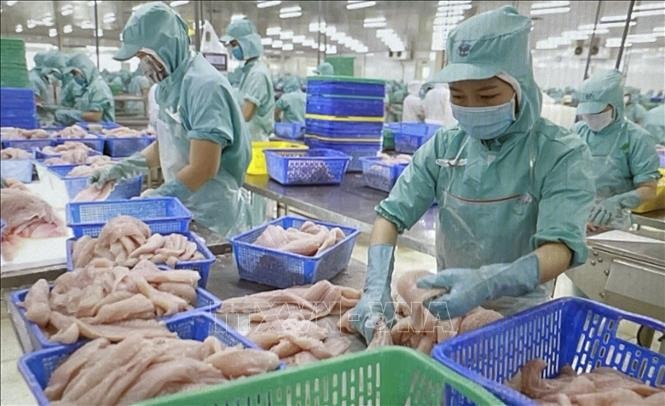 Bộ Công Thương ban hành kế hoạch triển khai năm Chủ tịch CPTPP 2026