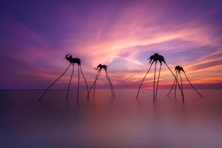 Phú Quốc và Bangkok dẫn đầu tìm kiếm du lịch Tết Nguyên đán 2026