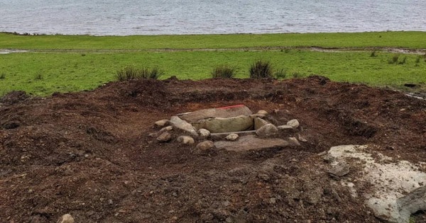 Đang cày ruộng, người nông dân đào trúng ngôi mộ cổ