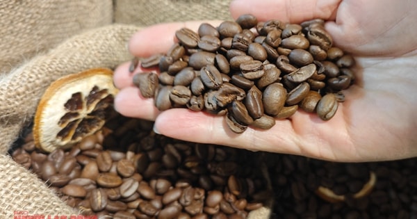 Giá cà phê hôm nay 25-1: Giá tăng 3 con số