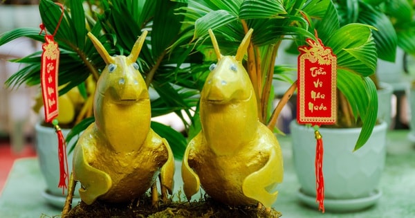 VIDEO: Độc đáo dừa bonsai "Mã đáo thành công" giá từ 200.000 đồng dịp Tết Bính Ngọ