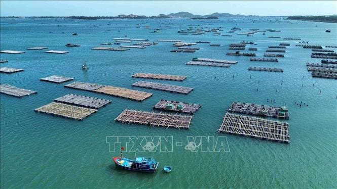 Điều kiện, trình tự thủ tục cấp phép nuôi trồng thủy sản