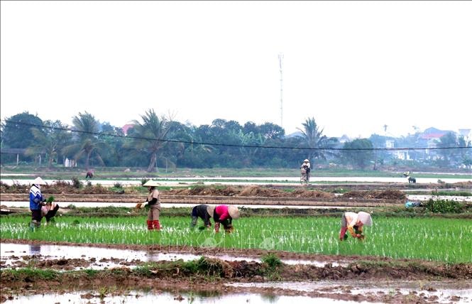 Sẵn sàng lấy đủ nước gieo cấy vụ Đông Xuân trong đợt 2