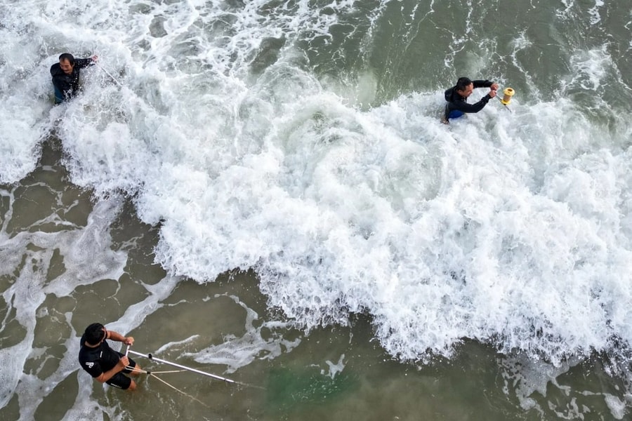Ngư dân đạp sóng, đi giật lùi bắt ốc tí hon kiếm tiền triệu tiêu Tết
