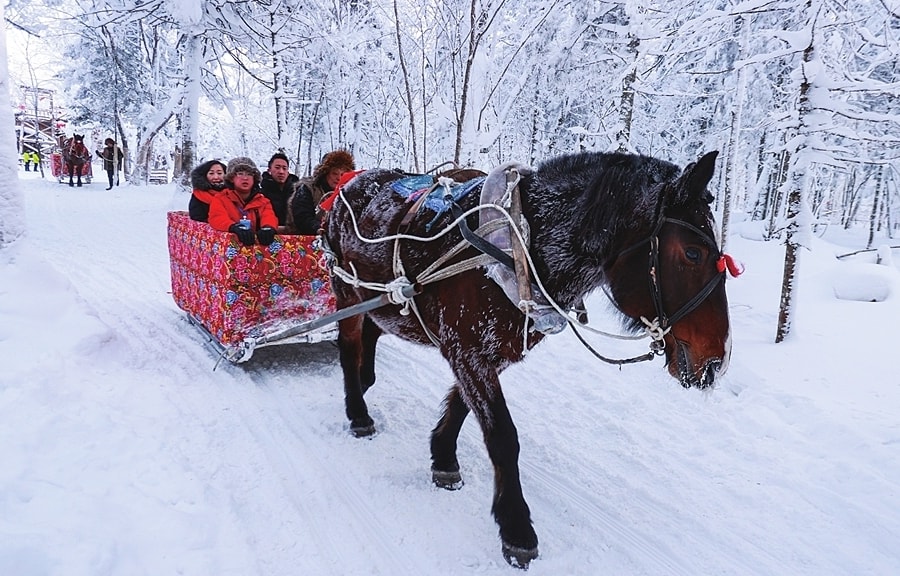 Trào lưu du lịch 'lưu đày' nở rộ ở Trung Quốc