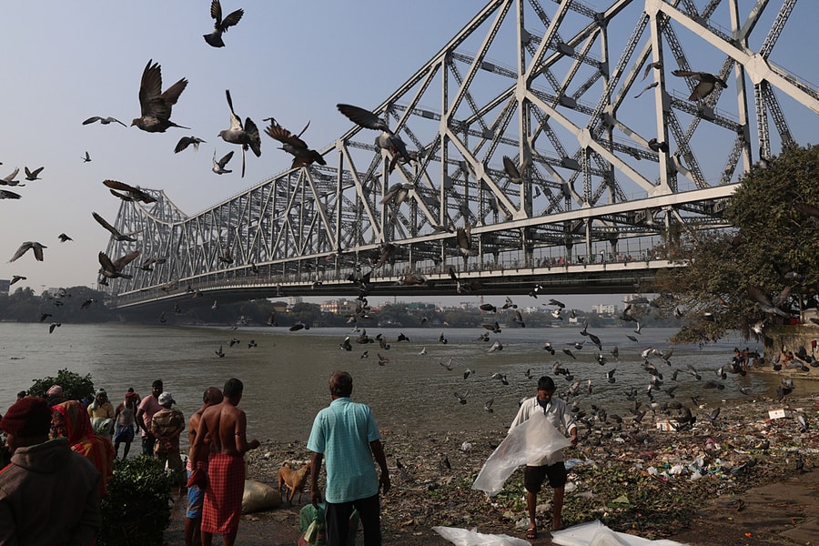 5 y bác sĩ nhiễm virus Nipah, Ấn Độ cách ly gần 100 người