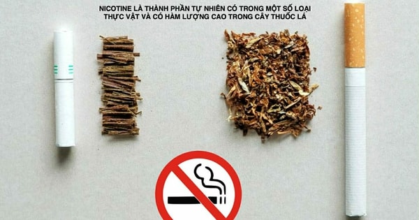 Làm rõ về độc tính của nicotine để phòng chống đúng tác hại của thuốc lá