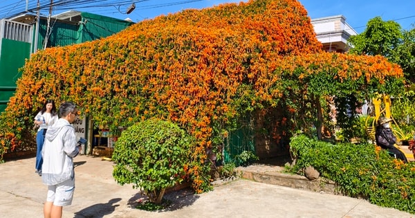 Căn nhà đang "nổi như cồn" ở Lâm Đồng