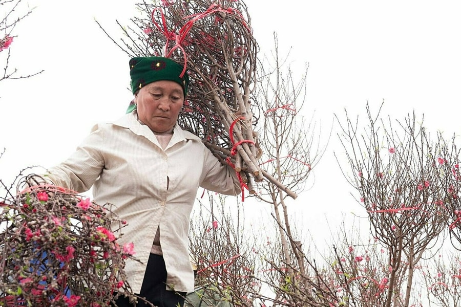 Đào Hồng Hà sẵn sàng xuống phố