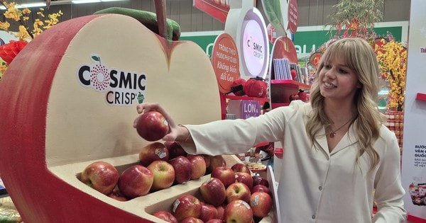 Nhập khẩu táo Mỹ xếp thứ 2 châu Á, "Cô gái táo" đến Việt Nam mùa Tết