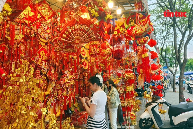 TP Hồ Chí Minh: Sắc xuân rực rỡ trên đường Hải Thượng Lãn Ông