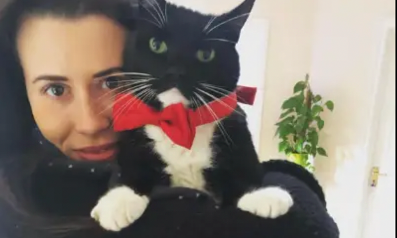 Bỏ nghề giám đốc đi trông chó mèo