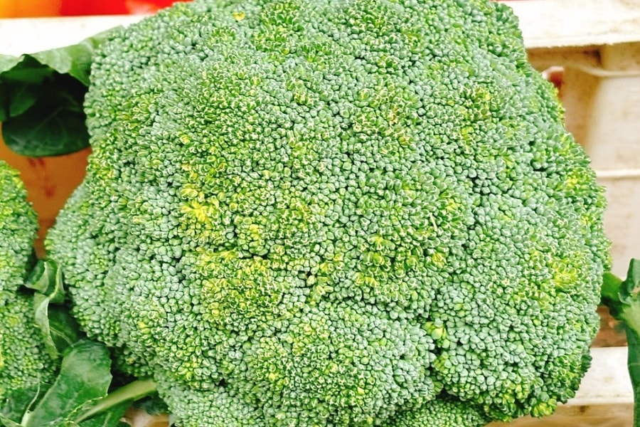 Ăn bông cải xanh có lợi cho sức khỏe thế nào