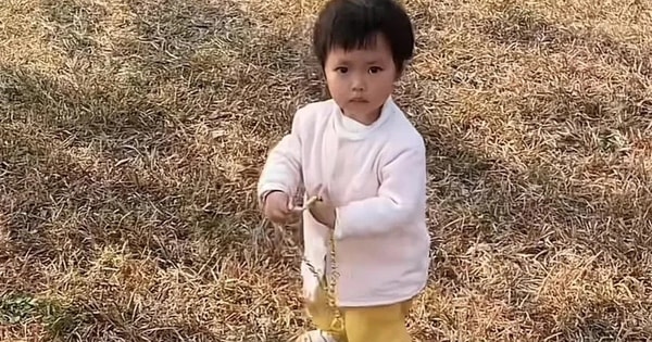 Đi chơi, bé gái nhặt được dây chuyền vàng trị giá 262 triệu đồng