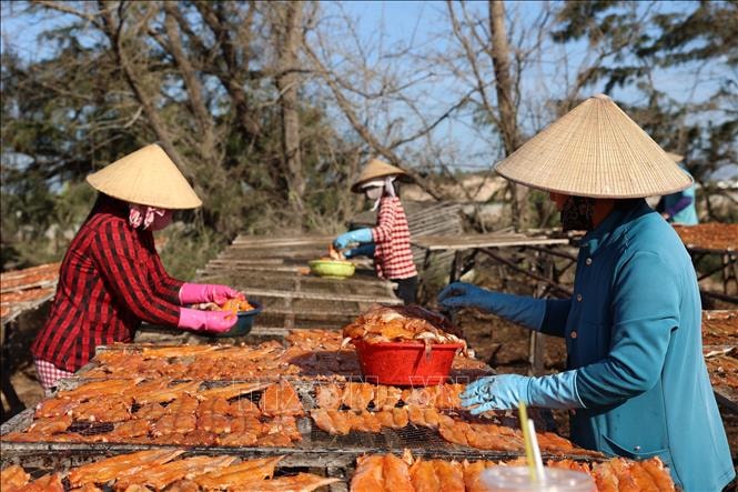 Nhu cầu Tết tăng mạnh, làng nghề hải sản khô vào mùa cao điểm