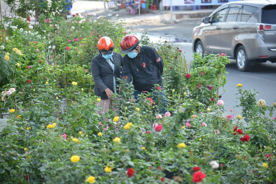 TP Hồ Chí Minh: Tái hiện không gian Tết sông nước với chợ hoa xuân 'Trên bến dưới thuyền'